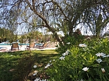 Green Garden